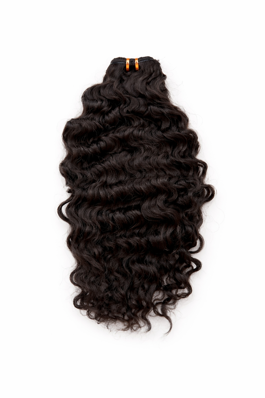 Syma - Burmese Curl
